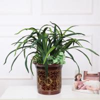 uploads/erp/collection/images/Home Garden/CongDing/XU0611271/img_b/XU0611271_img_b_1